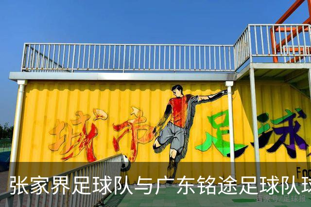张家界足球队与广东铭途足球队球员赛中发生肢体冲突 官方通报